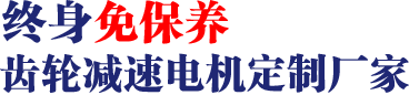 17年專注齒輪減速馬達、調(diào)速電機研發(fā)、生產(chǎn)